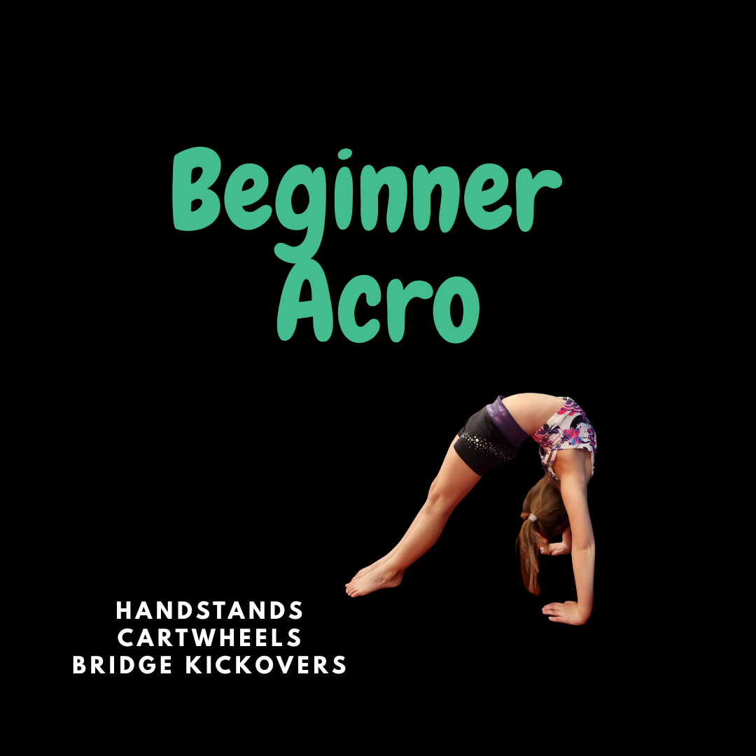 Beginner Acro Beginner Acro - Image 1
